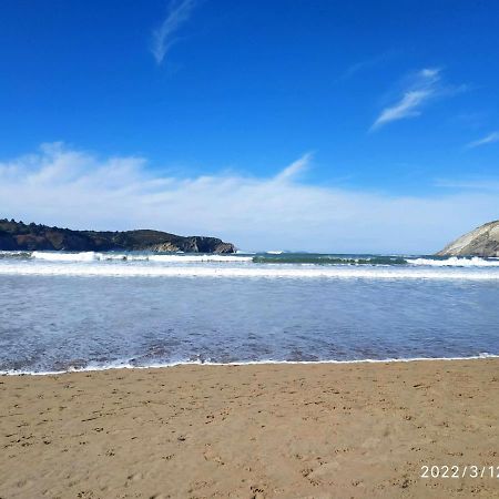Precioso Apartamento En Plentzia Dış mekan fotoğraf
